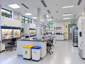 Biosafety Level 2 (BSL-2) Laboratory